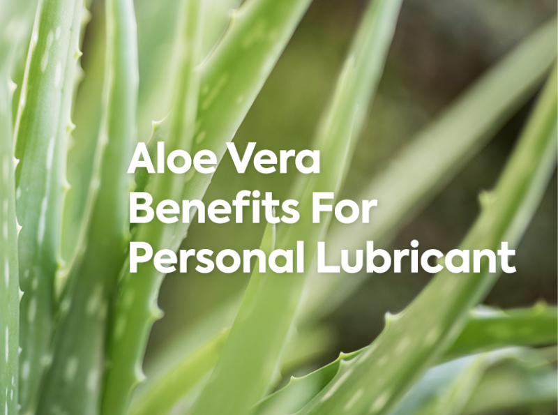 Blog banner for Can You Use Aloe Vera as Lube? Image of aloe that says Aloe Vera Benefits for Personal Lubricant