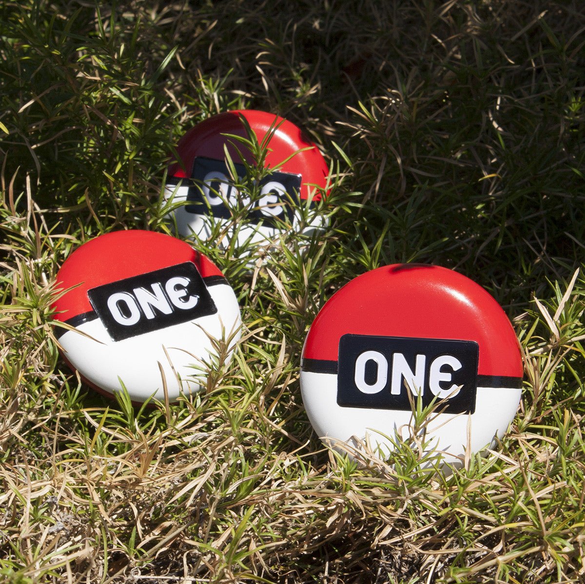 Boston Poké Walk & ONE Poké Ball DIY - ONE®
