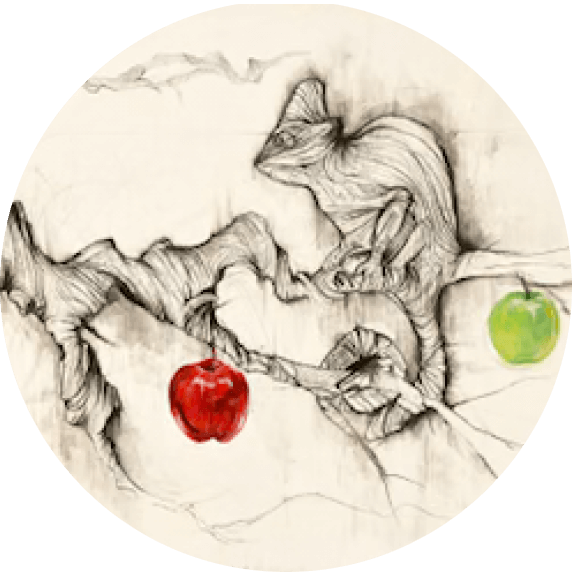 Illustration of a fox with a red apple and a green apple on a white background