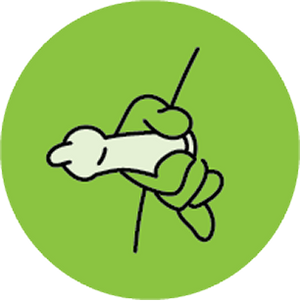 Green circle with a white and green icon of a hand holding a toothbrush.