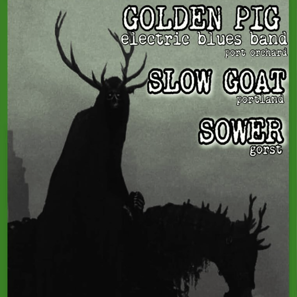 Silhouette of a large animal with antlers against a gray background, featuring text about a music band.